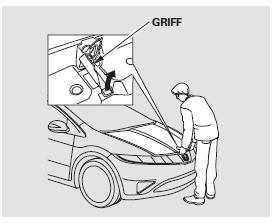 2. Die Finger zwischen die Vorderkante der Motorhaube und den vorderen